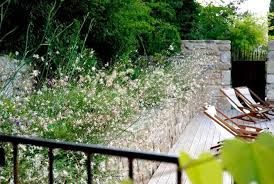 Jardin Gecko Jj Derboux Jardinier Paysagiste A Montpellier Herault Portfolio Creations Jardins Jardins Creation Jardin