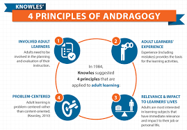 Pin On Adult Learning Andragogy