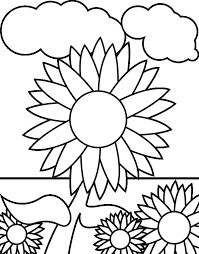 Bunga matahari, bunga yang umumnya berwarna kuning cantik, bentuknya bundar dan berukuran besar. Sketsa Gambar Mewarnai Bunga Matahari Anak Tk Paud Sd Terbaru Gambarcoloring