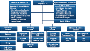 fema org chart ics basic organization chart