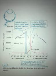 Diagramm Auswerten Auge Schule Biologie Augen