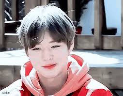 메이래빗프린스may rabbit prince on twitter. Park Jihoon Wanna One Gif Parkjihoon Wannaone Discover Share Gifs