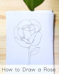When you're done with that, draw a second set of petals that overlap the first set. How To Draw Flowers Step By Step Tutorials For Beginners Jeyram Art