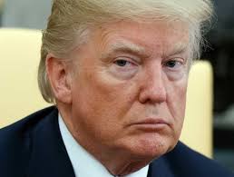 Grandparents Against MAGA/Fascists. (We are Gran-tifa)