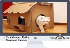 Saya menggunakan lampu di sekitar rumah jadi mengambil gambar. 12 Cara Membuat Kucing Nyaman Di Dalam Kandang 100 Work
