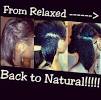 Beginner Transition Hairstyles