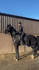 This aesthetic is similar to vsco girls, but fully leans into bright hair barrettes and pastel colors. All Black Aesthetic Equestrian Horse Dressage Dressagerider Horseriding Horserider Equestriangirl