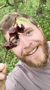 Daniel Leavitt (@beyourownarborist) • Instagram photos and videos