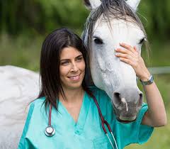 Be sure to check out our many other buying guides, like our roundup of the best gifts for teens or gifts for procrastinators. How To Become A Veterinarian In Arkansas Steps To Becoming A Veterinarian