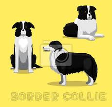 Check spelling or type a new query. Pes Border Kolie Cartoon Vektorove Ilustrace Fototapeta Fototapety Kolie Stat Ohar Myloview Cz