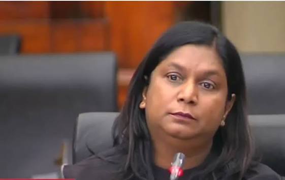 IDAC head defends arrest of Crime Intelligence head before parliamentary Committee