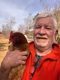 Hi, I have a lonely hen called muffin who lost her bestie Pepper last week.  I live in Nethy bridge, an hour south of inverness. Can I buy a couple of  hens