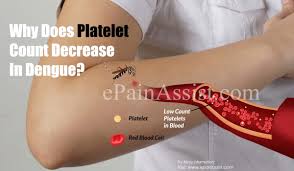 Check spelling or type a new query. Why Does The Platelet Count Decrease In Dengue How Can The Platelet Count Be Increased In Dengue Fever