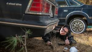 Image result for Florentine Gold 1985 AMC