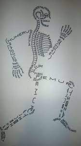 Pin By Weirdsticn On Olio Nurse Nursing Students Medical School