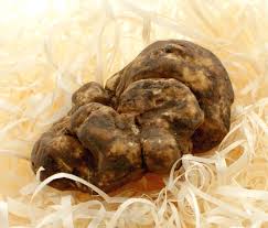 Summer vibes fresh from the beaches of barcelona. Fresh White Truffle Eastern Europe Tuber Magnatum Pico Daily Price Per Gram Loose