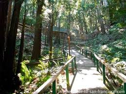 The mystery spot is a tourist destination located in the heart of the redwood forest, in santa cruz, ca. The Mystery Spot Santa Cruz Enter The Vortex