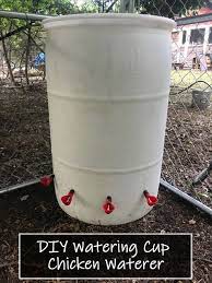 Diy Watering Cup Chicken Waterer Easy To Make One For Your Coop Chickens Homestead Homesteading Chicken Waterer Chicken Waterer Diy Chicken Diy