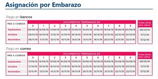 Conocé los requisitos, la documentación necesaria y los pasos a seguir para tramitar jubilaciones y pensiones en anses. Anses Calendario De Pagos De Octubre Y Noviembre Para Jubilados Y Beneficiarios De La Auh Chacabuco En Red