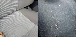 Lipas adalah masalah yang sering menggangu dalam kediaman rumah atau juga kenderaan. Hilangkan Lipas Yang Bersarang Di Dalam Kereta Dengan 8 Cara Mudah Ini