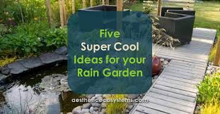 A rain garden is a shallow depression designed to capture stormwater runoff and allow it to slowly infiltrate into the soil. Five Super Cool Ideas For Your Rain Garden Easy Living Yards