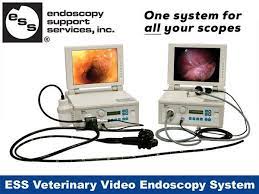 pin on ess products services