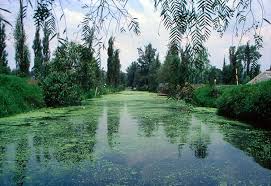 Encuentra fotos de stock perfectas e imágenes editoriales de noticias sobre chinampa en getty images. Mexicolore