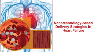 Guillermo ruiz was the first to come up with a treatment based on the use of nanotechnological vectors in hearts affected by heart failure. Guillermo U Ruiz Esparza Md Phd