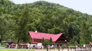 A doua zi am hotart sa vizitam rezervatia de ursi de la zarnesti. Rezervatia De Ursi Zarnesti