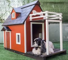 Kopek Kulubeleri Hakkinda Her Sey Juen Pet Market Blog