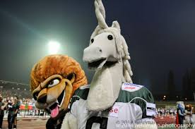 Historydie schwäbisch hall unicorns wurden 1983 gegründet und haben 1984 den spielbetrieb aufgenommen. 36 German Bowl Souverane Titelverteidigung Der New Yorker Lions Braunschwe Kurt U Heldmann German Daily News