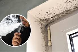Does vaping indoors cause mould and stains on the wall? | Cumnock Chronicle