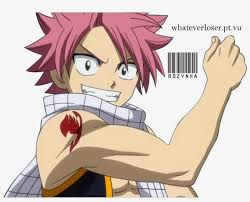 Check spelling or type a new query. Natsu Photo Renderfairytail Natsu Fairy Tail Natsu Transparent Png 995x720 Free Download On Nicepng