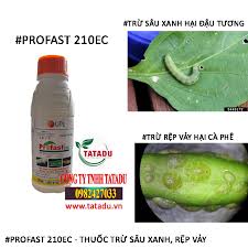 Profast 210EC
