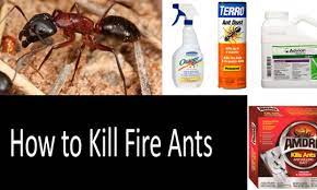 Pyrethrin pesticides can be applied as a contact insecticides. Top 17 Best Fire Ant Killers In 2021 Buyer S Guide Poisons Sprays Insecticides