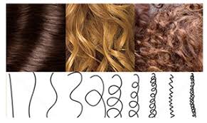 The same is true for someone with straight hair who wants a chemical perm or who has to curl her hair every morning. Is It Better To Have Curly Or Straight Hair Genes And Hair Curl