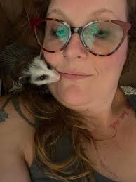 Is baby bass a calcium-rich food for a picky opossum?