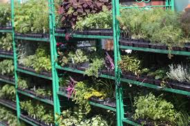 Check out spring herb festival sheraton towers singapore dates location schedule registration agenda reviews exhibitor list. Sand Springs Ok