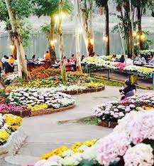 Pin On Thailand Adventure