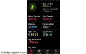 How To Export Apple Watch Workouts To Strava Training Peaks And Other Fitness Tracking Apps Die At Your Peak Heath Diet And Technology For Mind And Body Optimizers