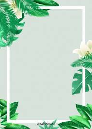 Priorita Bassa Tropicale Della Pianta Della Palma Dell Albero Tropical Background Plant Background Palm Plant