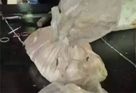톡톡 : 엔터톡 : 채널 목록 - 네이트 판