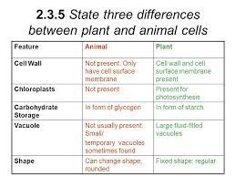 Major structural differences between a plant and an animal cell include: 2 3 Eukaryotic Cells Draw And Label A Diagram Of The Ultrastructure Of A Liver Cell As An Example Of An Animal Cell Ppt Download