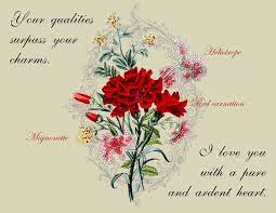 Vintage Flowers Tumblr Quotes Google Search Avas Flowers Same Day Flower Delivery Order Flowers Online