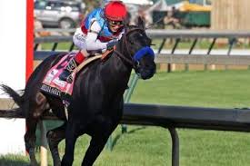Medina spirit's trainer, bob baffert, won't be in anyone who has followed him is up huge. Which Horses Will Be Competing In The Preakness Stakes Planetsport