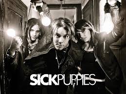 Maybe you would like to learn more about one of these? Sick Puppies Girls Guns Zombies