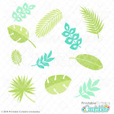 Planting seeds at small pots or drawing plants with the real plants. Tropical Leaves Free Svg Files Clipart For Cricut Silhouette