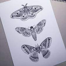 Moth Tattoo Moth Tattoo Design Moth Tattoo Tattoos