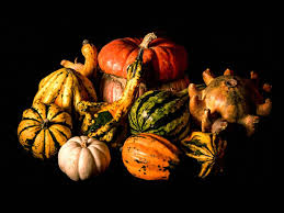 Spray the gourd with a clear coat of polyurethane spray paint and let that dry. The Science Behind Decorative Gourd Season Science Smithsonian Magazine