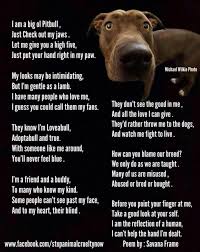 Pin Op Dogs Bsl Pit Bulls